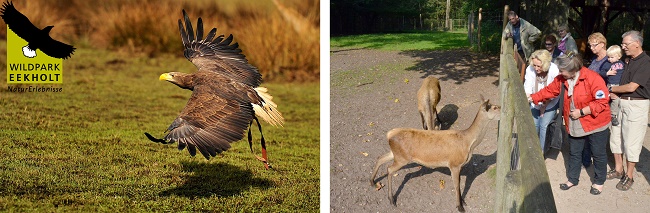 Eekholter Tiere der Bibel